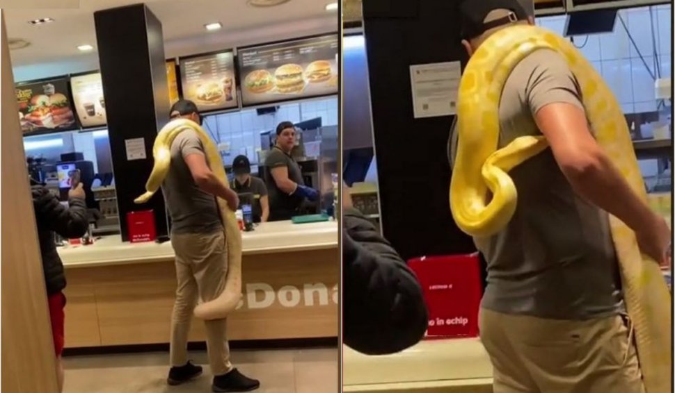 Un bărbat a intrat cu un şarpe uriaş la gât, într-un fast-food din România
