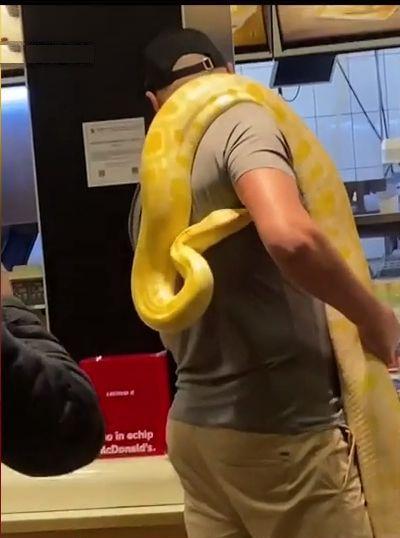 Un bărbat a intrat cu un şarpe uriaş la gât, într-un fast-food din România 830499