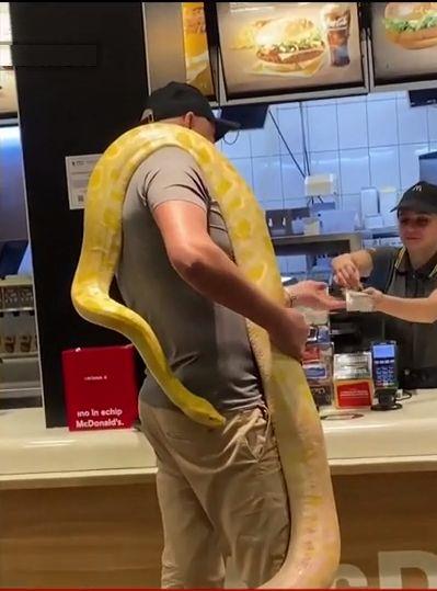 Un bărbat a intrat cu un şarpe uriaş la gât, într-un fast-food din România 830500