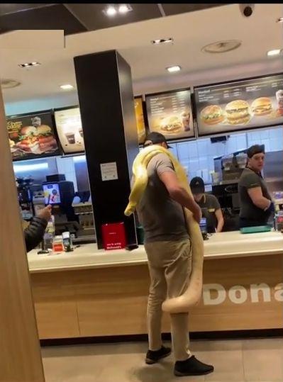 Un bărbat a intrat cu un şarpe uriaş la gât, într-un fast-food din România 830501