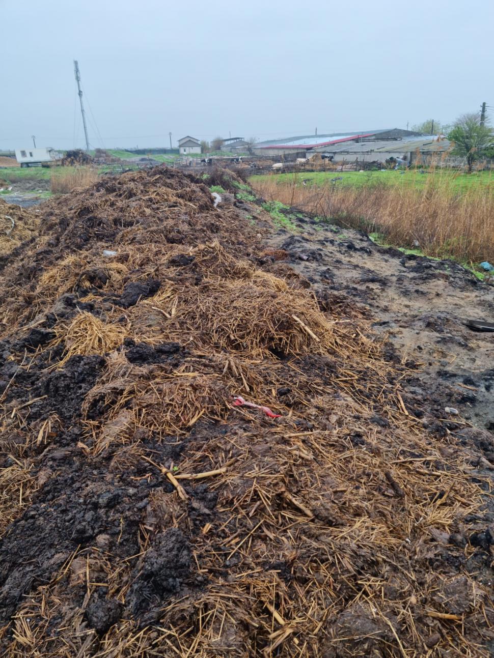 Primar din Tulcea, acuzat că i-a bătut şi sechestrat pe comisarii Gărzii de Mediu care erau în control la ferma fiului său 830668