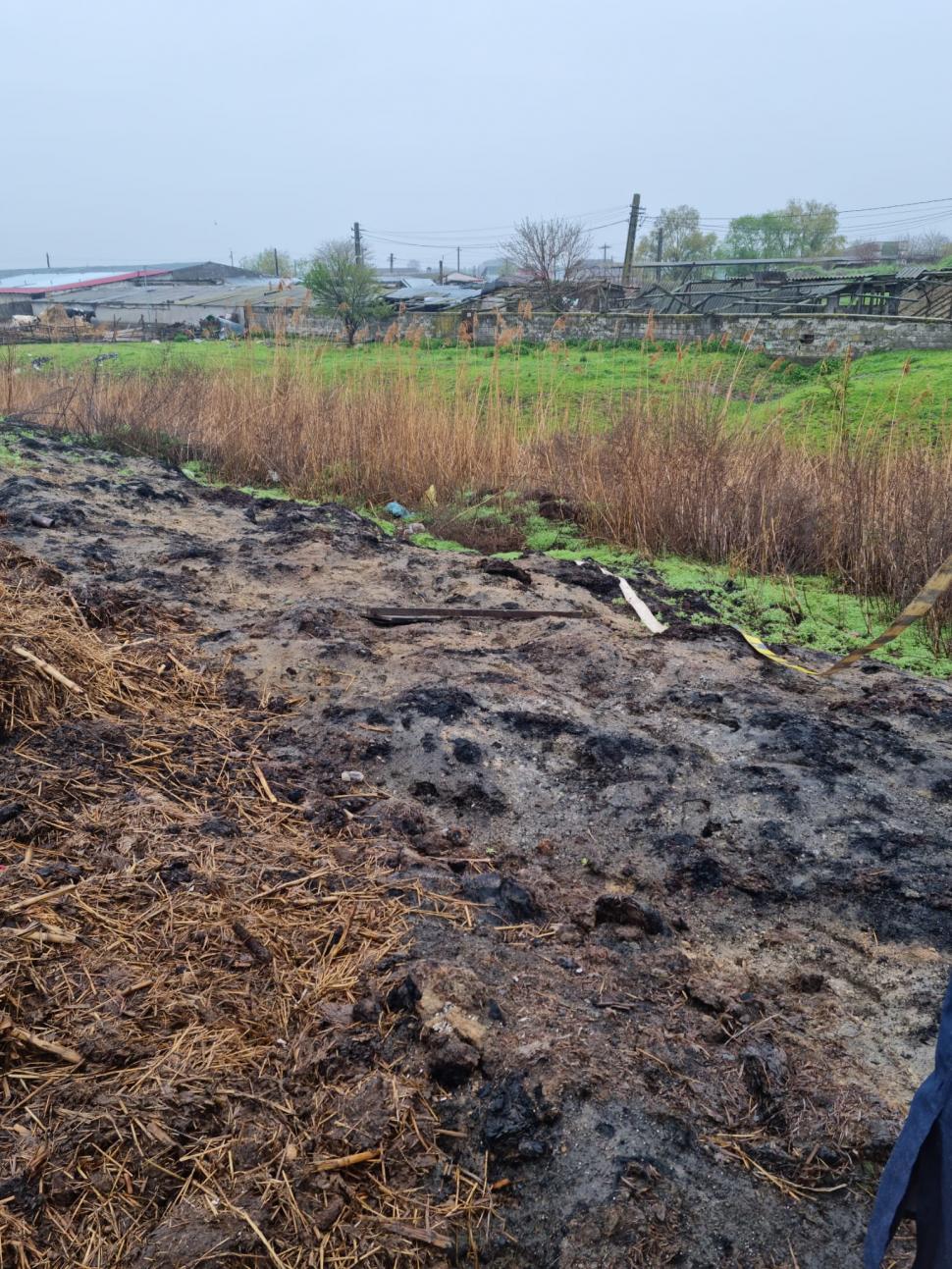 Primar din Tulcea, acuzat că i-a bătut şi sechestrat pe comisarii Gărzii de Mediu care erau în control la ferma fiului său 830669