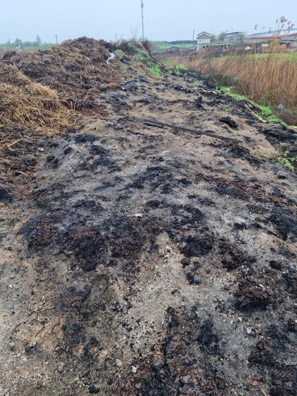 Primar din Tulcea, acuzat că i-a bătut şi sechestrat pe comisarii Gărzii de Mediu care erau în control la ferma fiului său 830670