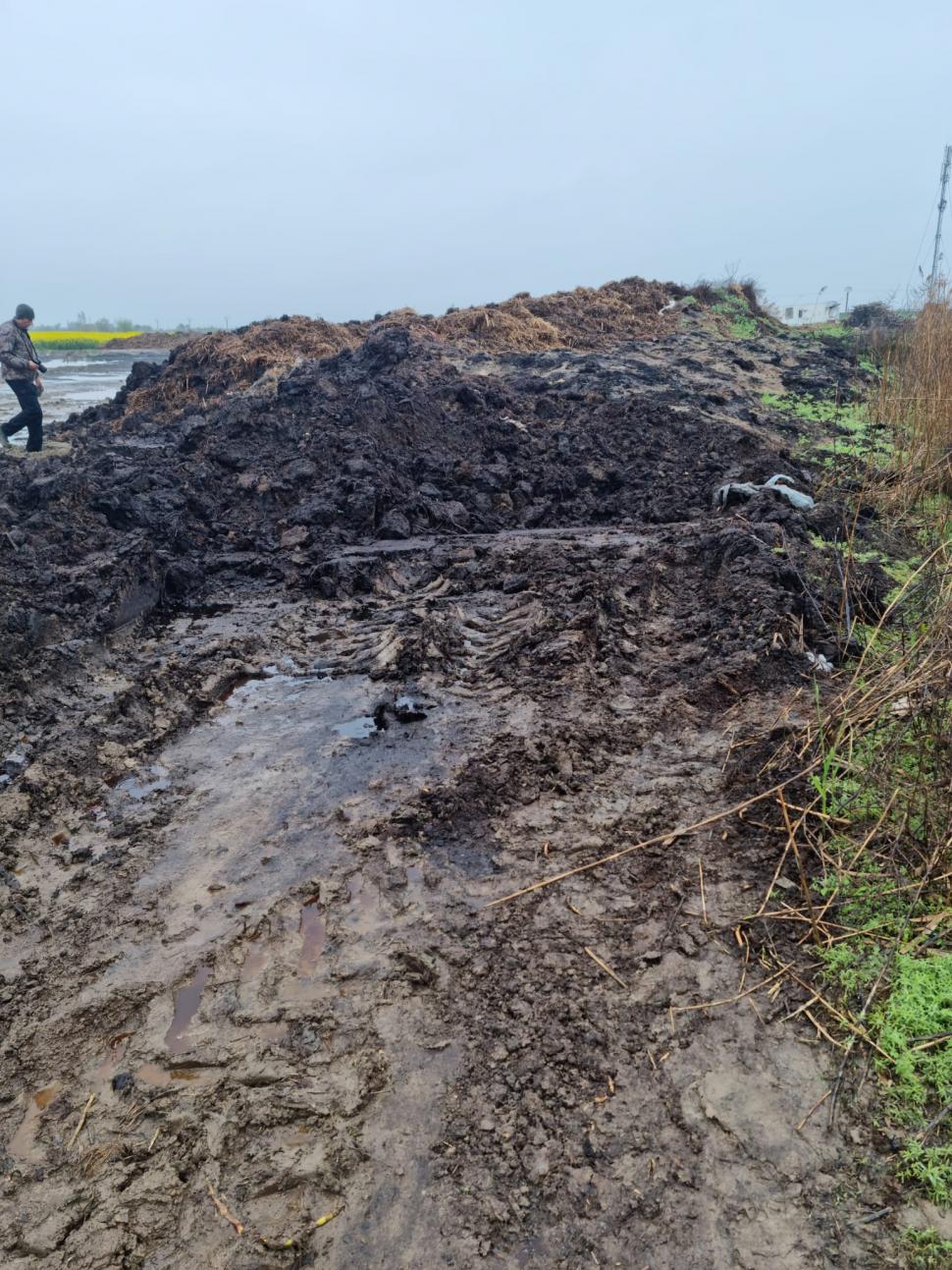 Primar din Tulcea, acuzat că i-a bătut şi sechestrat pe comisarii Gărzii de Mediu care erau în control la ferma fiului său 830671