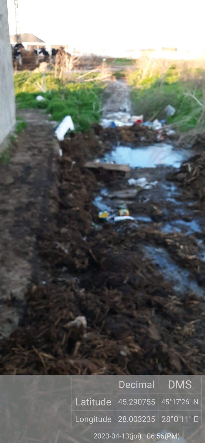 Primar din Tulcea, acuzat că i-a bătut şi sechestrat pe comisarii Gărzii de Mediu care erau în control la ferma fiului său 830673