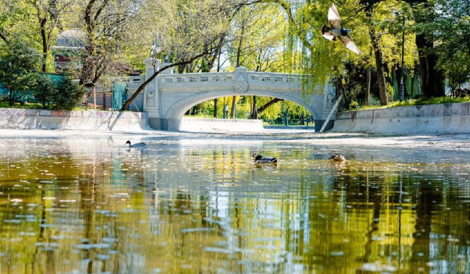 Primele imagini cu podul reabilitat din Parcul Cișmigiu. Nicușor Dan: "Reprezenta un real pericol pentru vizitatori"