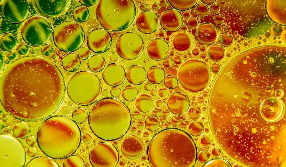 Alimentele pe care medicii neurologi nu le mănâncă. Sunt nocive pentru creier: "Ele fac ravagii" 831148