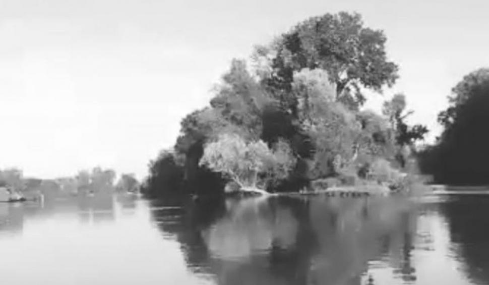 "De ce mi i-ai luat Doamne pe amândoi, cu ce ți-am greșit?" | Strigătul de durere al Alinei, femeia care şi-a pierdut copilul şi soţul în apele Mureșului 831541