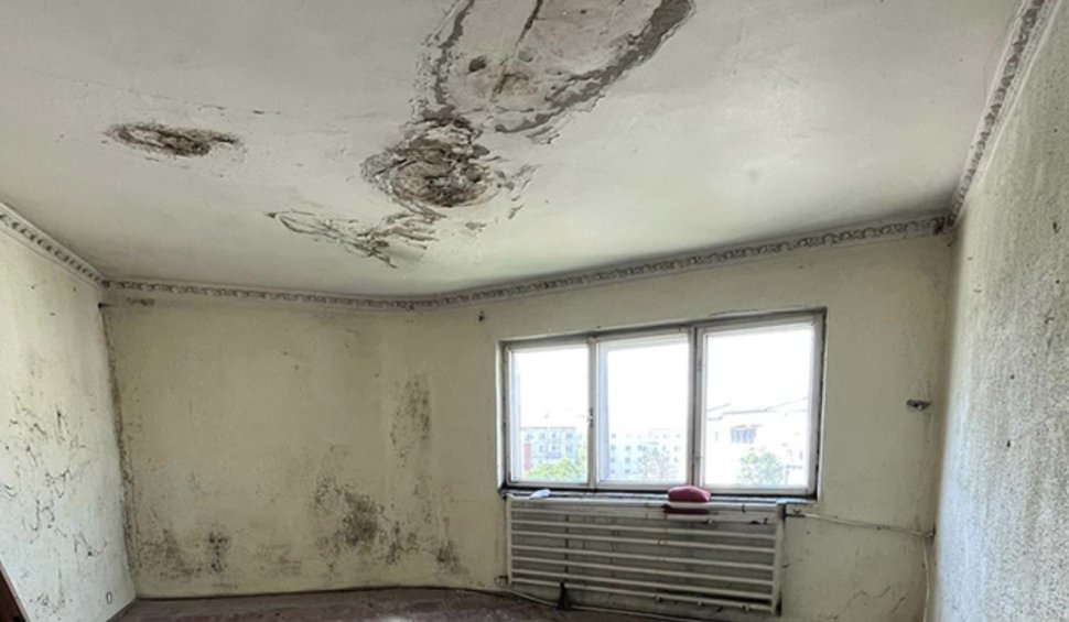 “Ce scump e mucegaiul” Cum arată cel mai urât apartament din Vaslui și la ce preț a fost pus la vânzare