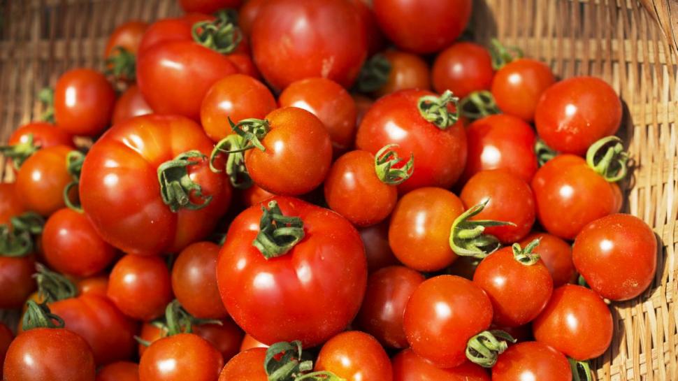 Roşii, castraveţi şi ardei de la "țărani", pline cu îngrășăminte interzise în România, vândute în supermarketuri şi angrouri 832079