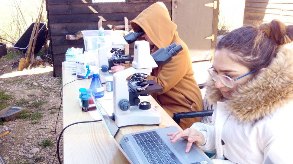 "Mâncau zăpadă, lemn și pământ. Unii plecaseră deja din lumea asta": Strigăt de disperare, după ce autoritățile din Ilfov au salvat cai și câini lăsați să moară în chinuri 832127