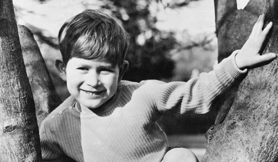 Recunoşti băieţelul vesel, cocoţat în copac? "Am ajuns să iubesc această ţară minunată" 832535