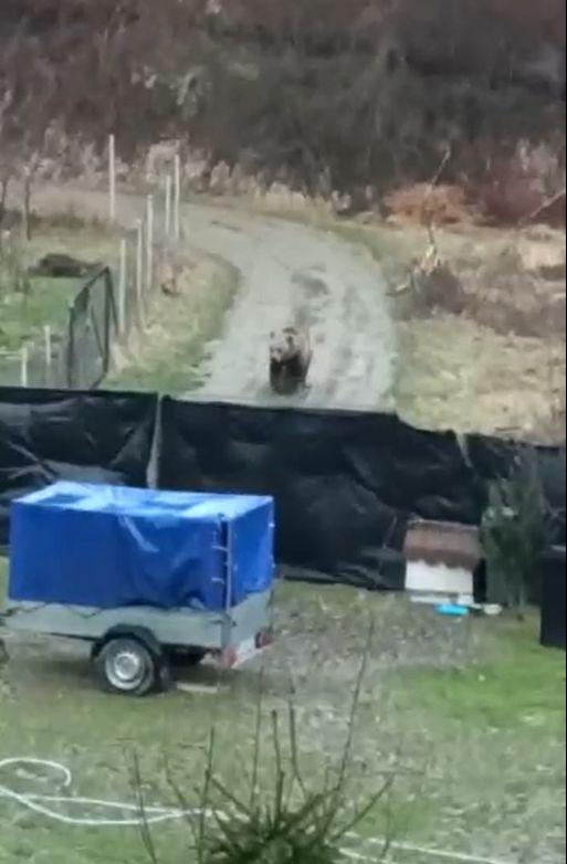 Autoritățile atrag atenția! Este o perioadă foarte periculoasă pentru cei care aleg să se plimbe în natură 832651