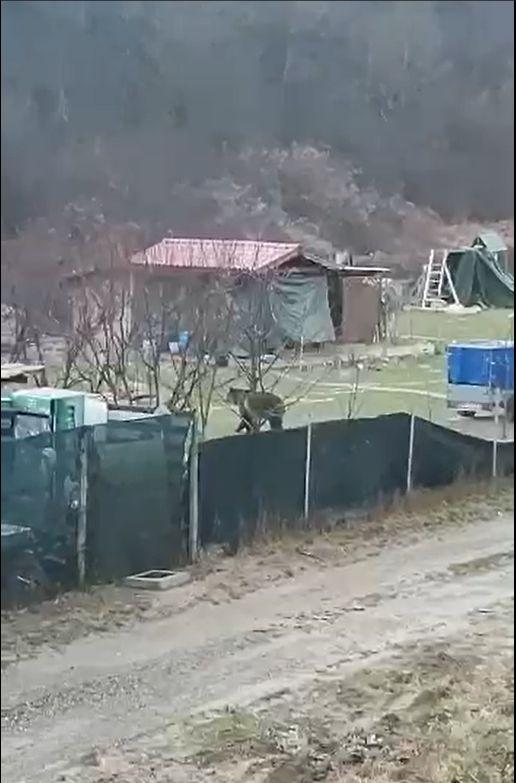 Autoritățile atrag atenția! Este o perioadă foarte periculoasă pentru cei care aleg să se plimbe în natură 832653