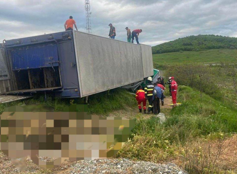 Un camion încărcat cu sute de oi s-a răsturnat în Bistriţa-Năsăud. Zeci de animale au murit pe loc 832779
