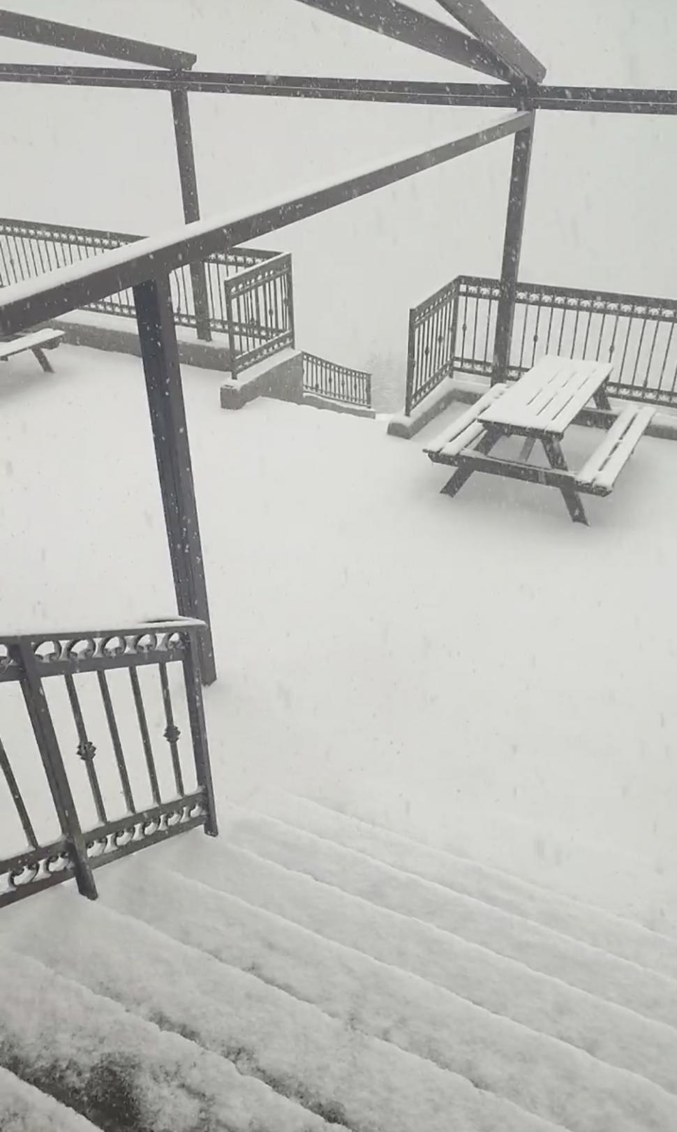 Ninge puternic în mai multe județe din țară! Imagini de poveste cu zăpezile din luna mai 832783