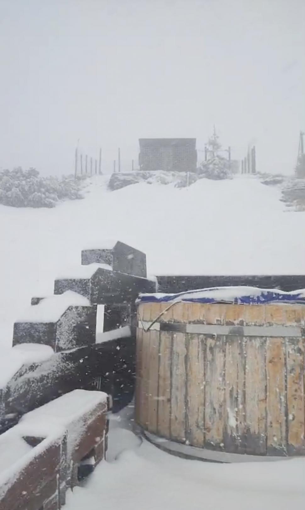 Ninge puternic în mai multe județe din țară! Imagini de poveste cu zăpezile din luna mai 832784