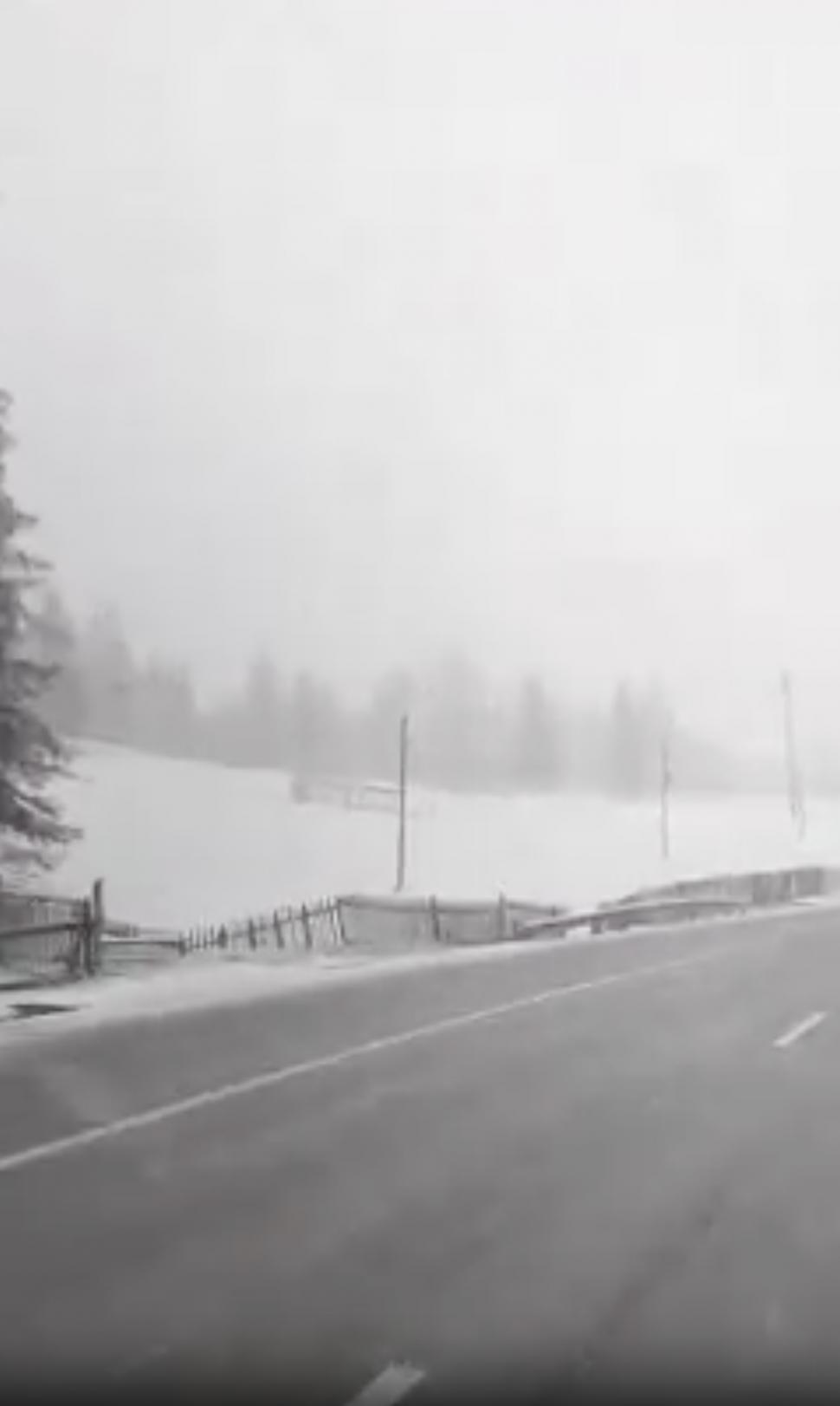 Ninge puternic în mai multe județe din țară! Imagini de poveste cu zăpezile din luna mai 832785