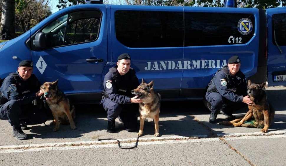 Ares, Ben şi Silva, trei câini jandarmi, ies la pensie, după 13 ani: "Vă mulţumim pentru tot ce aţi făcut pentru noi... pentru oameni!”