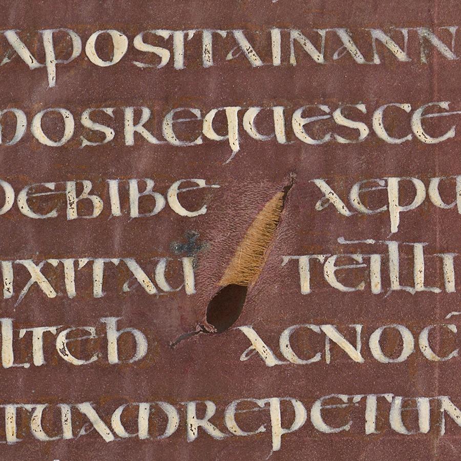 Celebrul manuscris Codex Aureus, scris cu cerneală de aur și aflat într-o bibliotecă din Ardeal, inclus pe lista UNESCO 833666