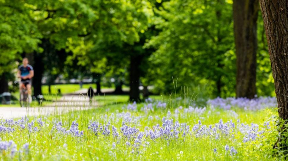 Vine căldura, în sfârșit, în România! Cum va fi vremea în minivacanța de Rusalii | Prognoza meteo 15 mai - 12 iunie