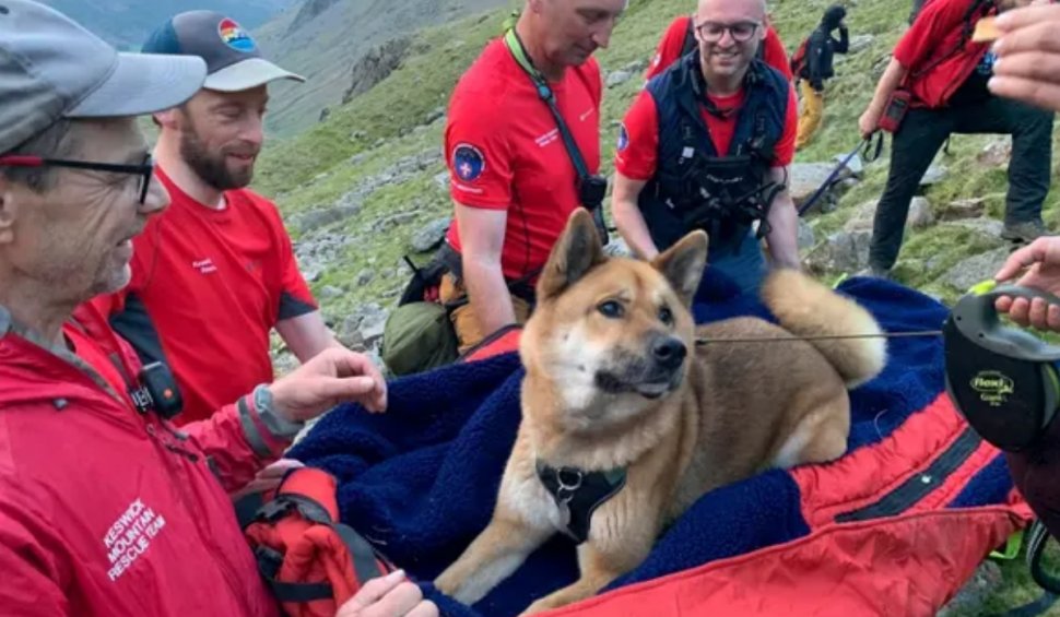 Câine din rasa Atika, salvat după ce a escaladat cel mai înalt munte din Anglia | "A fost o bucurie să car o astfel de victimă"