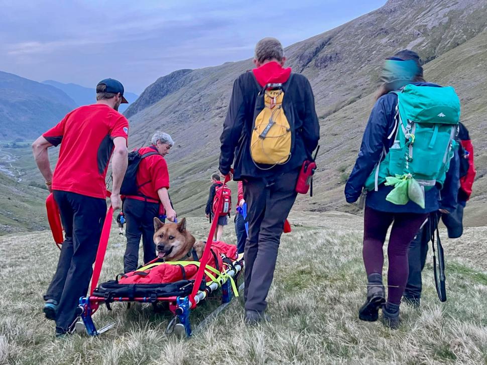Câine din rasa Atika, salvat după ce a escaladat cel mai înalt munte din Anglia | "A fost o bucurie să car o astfel de victimă" 834091