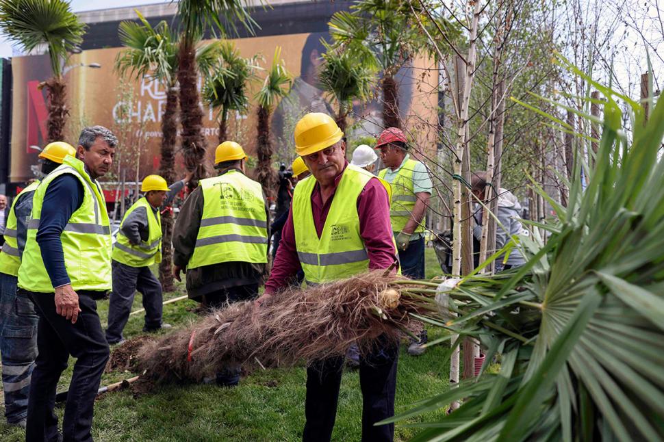 Primăria Capitalei scoate palmierii puşi de Robert Negoiţă în zona Unirii. Ar fi fost plantaţi ilegal 834044