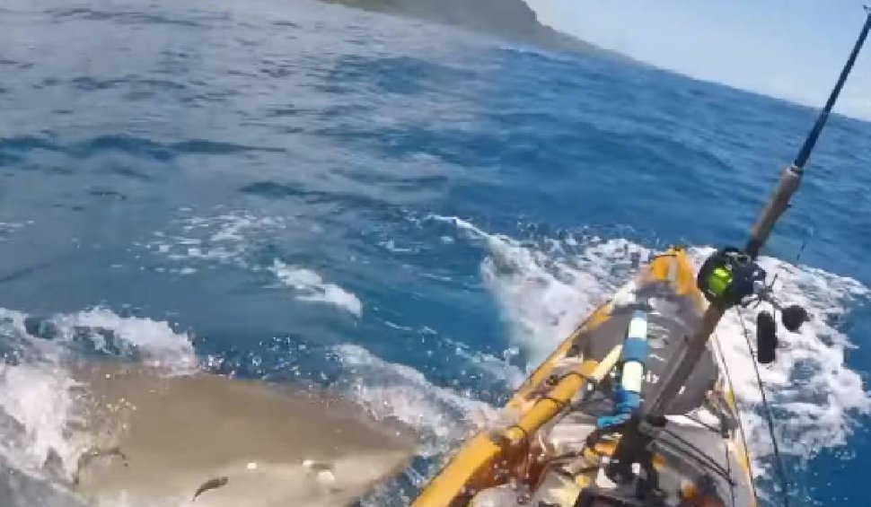 Momentul în care barca unui bărbat care se afla la pescuit este atacată de un rechin: "A fost un noroc incredibil de mare"