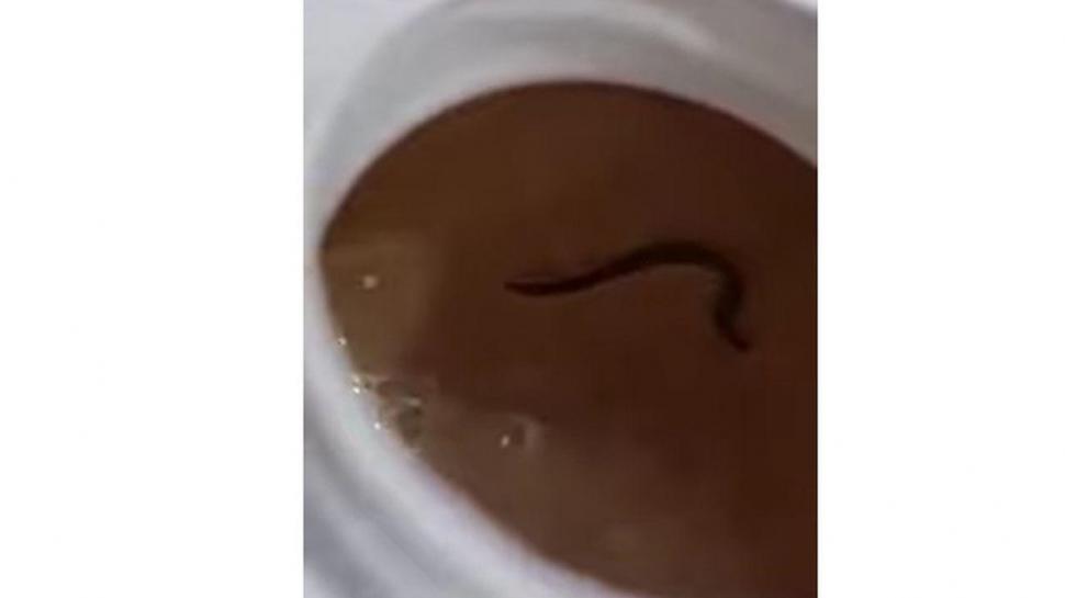 Un bărbat din Satu-Mare a rămas şocat după ce a deschis o cutie cu lapte. Ce a găsit înăuntru 834662