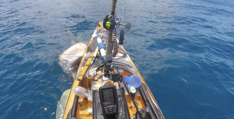 Momentul terifiant în care un pescar a fost atacat de un rechin de șapte metri: "A fost un noroc incredibil de mare" 834517