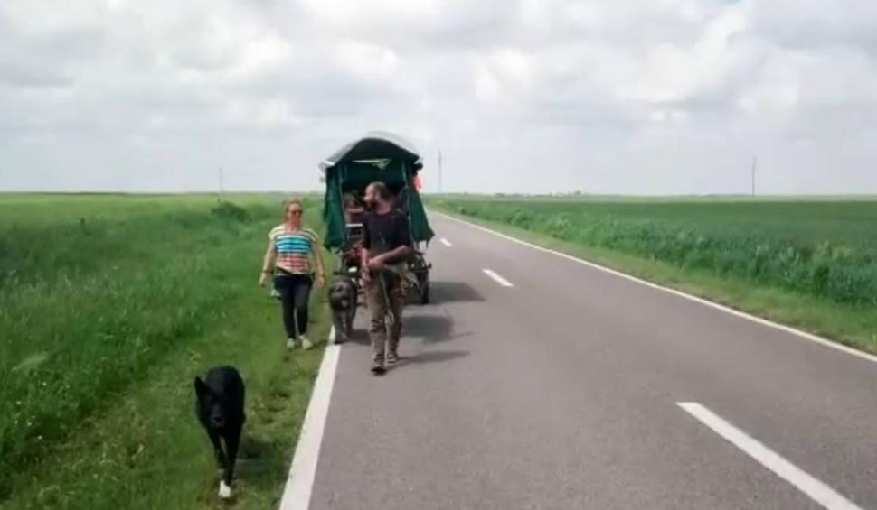 O familie din Franţa a ajuns în România cu o căruţă trasă de măgar, după doi ani de la începutul unei călătorii către Palestina 834854