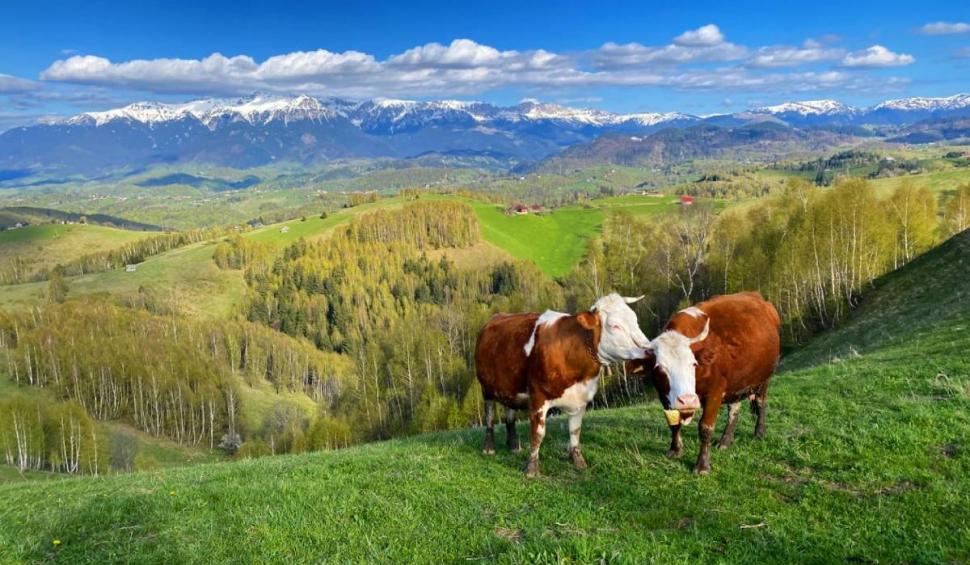 Cum arată satul din România, faimos pe internet. A strâns 75.000 de aprecieri la o singură poză 834840