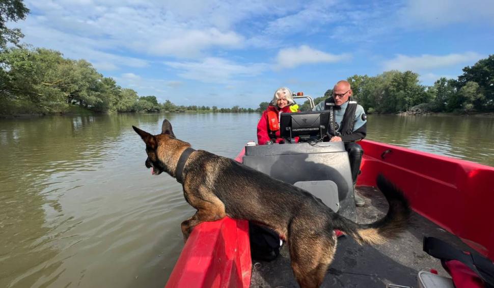 Fetiţa dispărută în râul Mureş, căutată de scafandri şi câini de urmă 835120