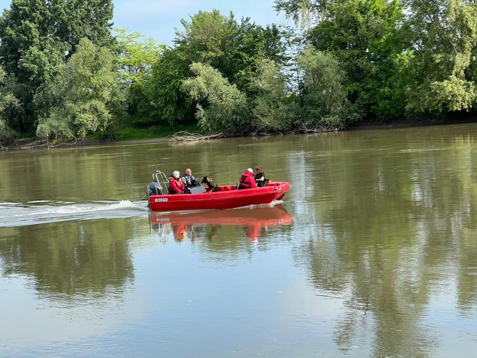 Fetiţa dispărută în râul Mureş, căutată de scafandri şi câini de urmă 835124