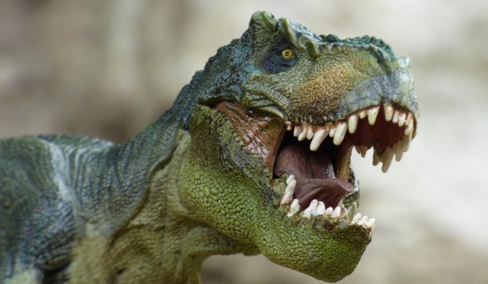 O nouă specie de dinozaur carnivor, descoperită în Spania