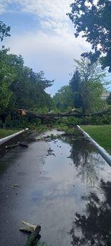 Vremea a făcut prăpăd în mai multe zone din ţară | AMM, noi avertizări meteo pentru România 835307