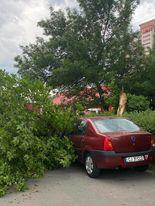 Vremea a făcut prăpăd în mai multe zone din ţară | AMM, noi avertizări meteo pentru România 835308