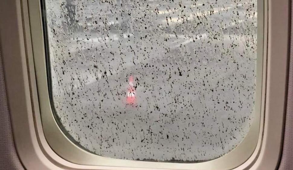 Imagini cu avioanele din Catania acoperite de cenuşă, dupa erupţia vulcanului Etna | Zborurile au fost anulate 835466