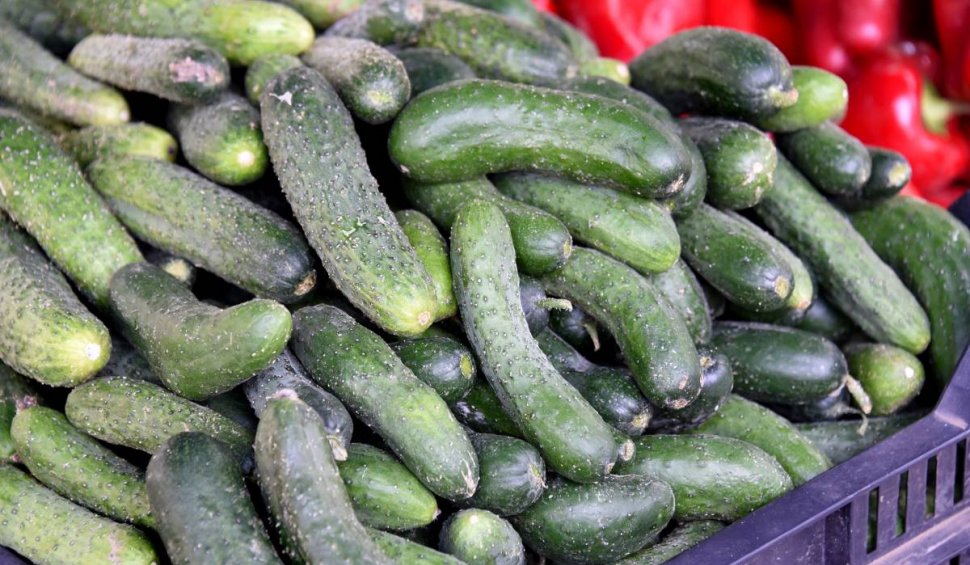 Noi date din ancheta agricultorilor acuzați că au stropit legumele cu substanțe toxice: "Castraveții trebuie să fie retrași de la vânzare"