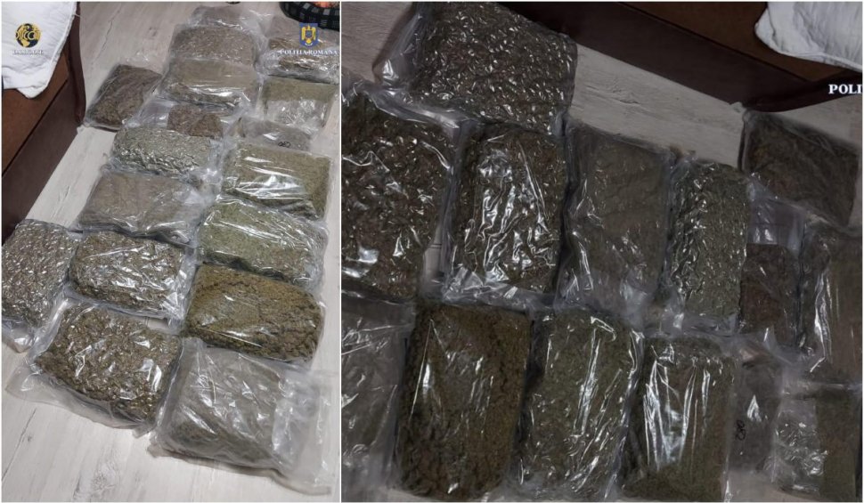 Polițiștii antidrog din Oradea au confiscat peste 15 kilograme de canabis de la un cetățean străin