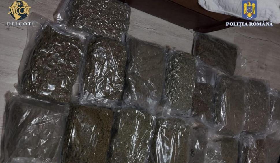 Polițiștii antidrog din Oradea au confiscat peste 15 kilograme de canabis de la un cetățean străin 835936