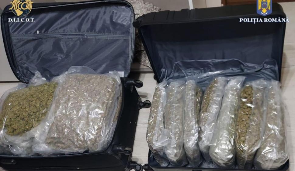 Polițiștii antidrog din Oradea au confiscat peste 15 kilograme de canabis de la un cetățean străin 835937