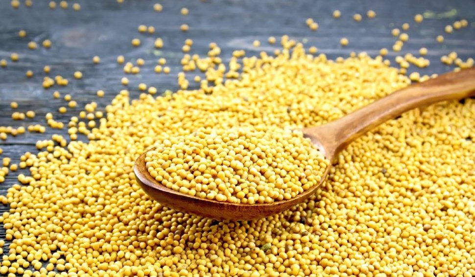 Beneficiile nebănuite ale consumului de semințe de muștar. Cât de sănătoase sunt pentru organism