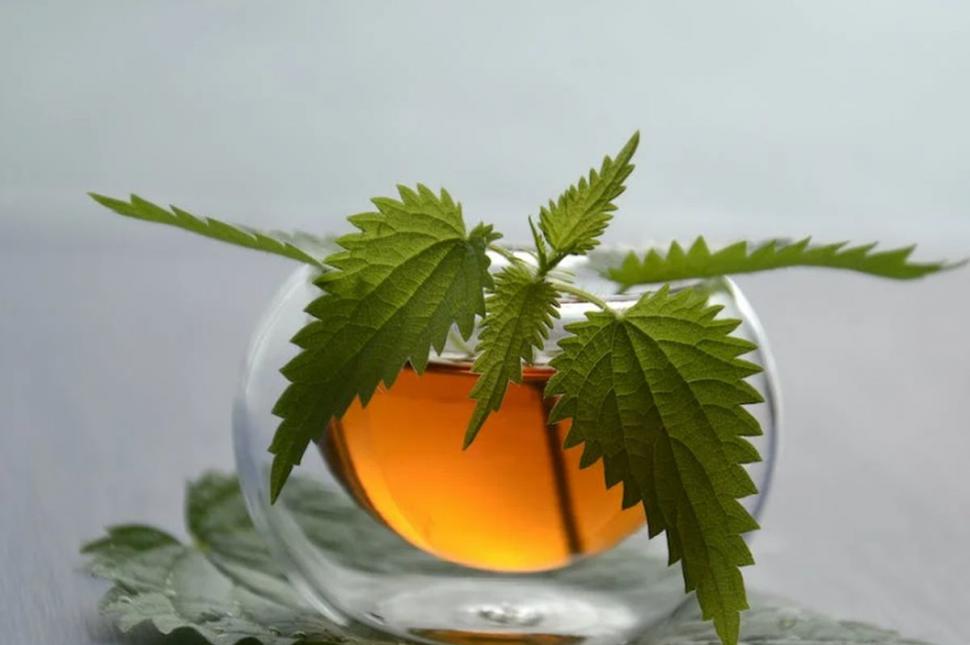 Ceaiul care curăţă vasele de sânge şi creşte imunitatea. Lidia Fecioru: "Se găseşte şi în România. Se poate bea cu lapte" 836623