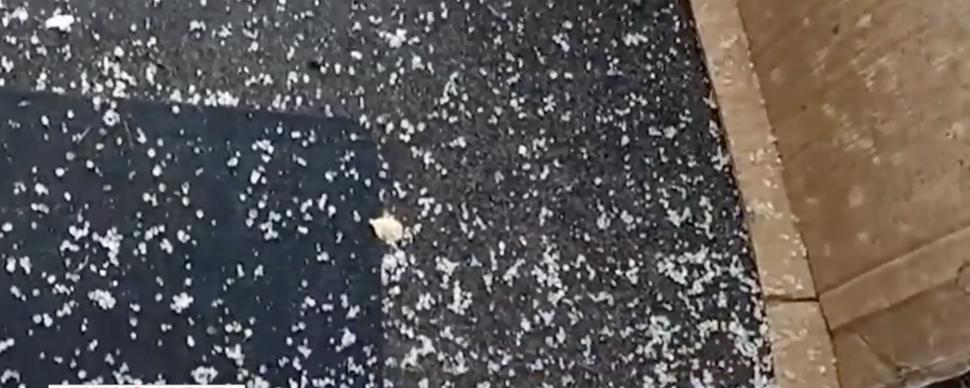 Cod portocaliu de ploi, vijelii şi grindină, în următoarele ore. Judeţele vizate de avertizarea meteo ANM 836570