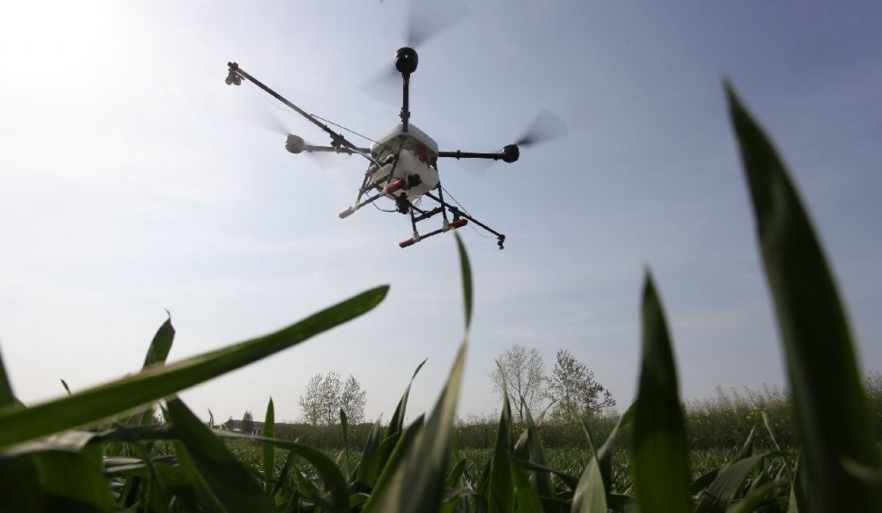 Doctorul din aer: dronele care depistează și tratează bolile plantelor