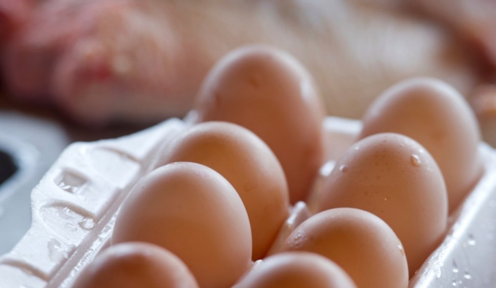 Cum aflați dacă un ou este proaspăt și bun de mâncat. Experimentul simplu care durează mai puțin de un minut