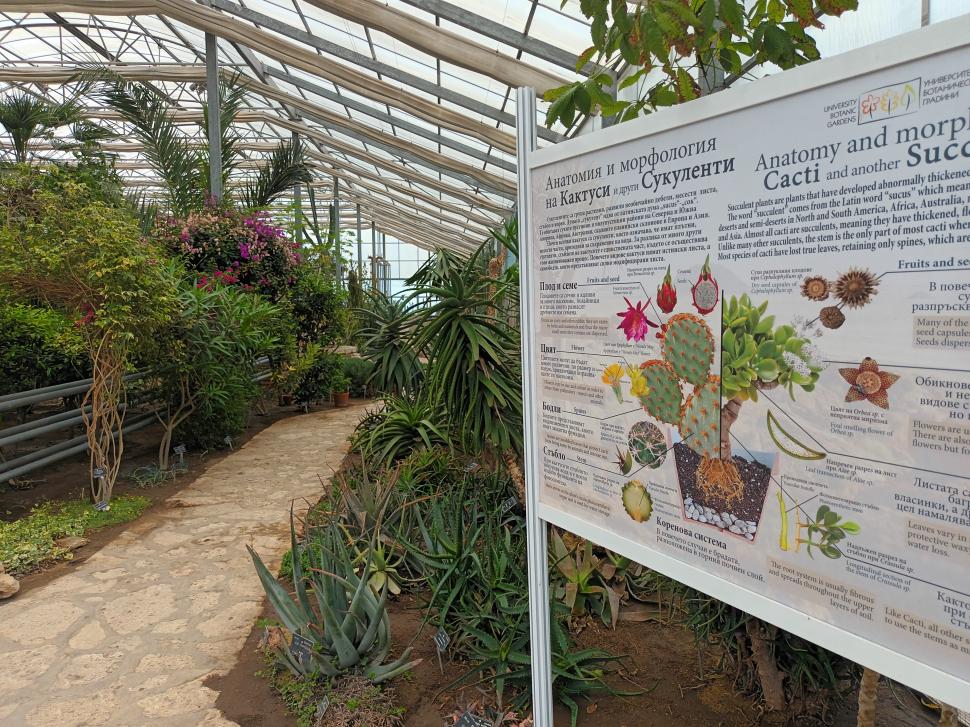 Castelul Reginei Maria de la Balcic, locul unde se îndeplinesc dorințele 836941