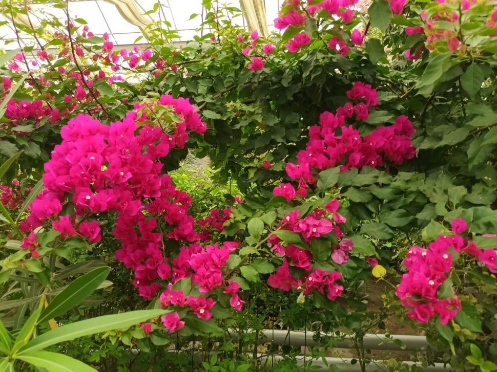 Castelul Reginei Maria de la Balcic, locul unde se îndeplinesc dorințele 836942